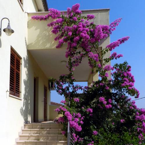 Premantura Kroatien Buchungs-Promo-Code Booking.com