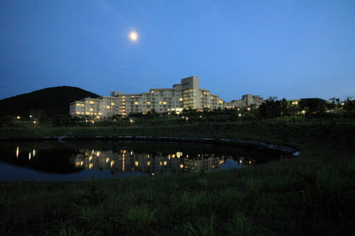 Jeju Corée du Sud réserve code promo